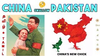 பாகிஸ்தானை சுற்றிவளைத்த சீனா | China \u0026 Pakistan bane or boon | Tamil | CPEC | Vicky