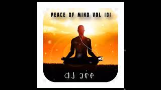 SLOW JAM MIX 2024 | 03 NOVEMBER | PEACE OF MIND VOL 101 | DJ Ace ♠️