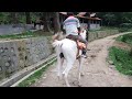 iqra rides horse in mirik मिरिक दार्जीलिंग