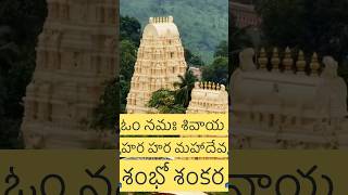 🙏🏻మల్లన్న కొండ కింద కృష్ణమ్మ🙏🏻            #bhakthi #devotional #jyotirling