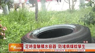 桃園有線新聞20200805-定時查驗積水容器 防堵病媒蚊孳生