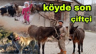 EVDE KOYUNLAR A BAKMAK DAĞDA OTLATMAK TAN DAHA ZOR