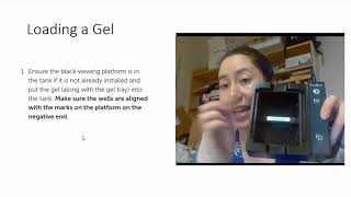 Gel Electrophoresis Demonstration Video