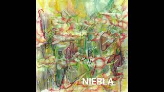 RI ALBIZUA - NIEBLA