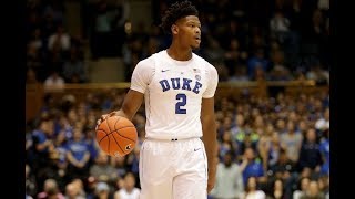 Cameron Reddish - Duke Highlights 2019