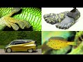 Biomimicry: Nature's Engineering Inspiring Innovations