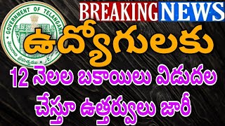 Good News to Employees in Telangana 12 months Arrears Released |ఉద్యోగులకు 12 నెలల బకాయిలు మంజూరు