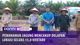 Penanaman Jagung Serentak Dukung Ketahanan Pangan Nasional