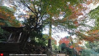 秋の風景 「安芸の #宮島 」 #紅葉 巡り Part3/6 「 #奥の院 」 2017.11.15 ( #広島県 #廿日市市 )