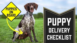 Checklist Be Prepared For A Litter Of Beautiful Puppies