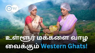 Western Ghats: Indians கண்டுகொள்ளாத ரகசிய பொக்கிஷம்; ஒவ்வொரு அடியும் பணத்தை அள்ளித்தரும் மலைத்தொடர்