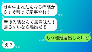 難産で入院中の私に夫が「早く退院して家事をしろ！」と迫り、「戻らなければ離婚だ！」と言ったため、私は退院後すぐに離婚届を出すことにしました。