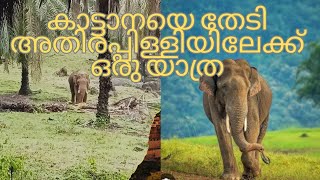 Atirapilly Elephant trace @ VN vlogs