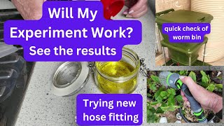 Experiment and results- getting rid of pesky pests/Testing out hose Sprayer/Plant and Worm bin check