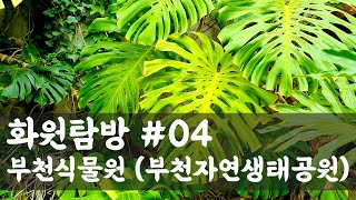 [화원탐방 #04] 부천식물원 ( 조용한 데이트, 나들이 장소! )