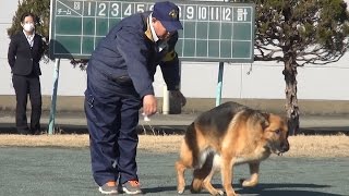 捜査での活躍誓う 警察犬と指導士の嘱託書交付式