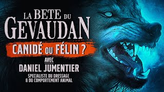 Bête du Gévaudan, canidé ou félin ? Avec Daniel Jumentier