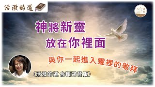 【活潑的道】聲音版 [CC字幕] 17-01-2025 神將新靈放在你裡面 (與你一起進入靈𥚃的敬拜) #活潑的道 #新靈 #神的靈 #屬靈的事 #屬靈人 #傳承 #讚美 #靈裡的敬拜 #神的同在