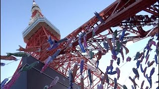 東京タワーに鯉のぼり