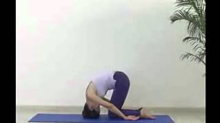 Prayer Pose (Pranamasana)