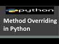Method Overriding in Python |  Polymorphism in Python