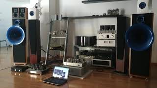 AVANTGARDE UNO PICCO / DAC ALLNIC D5000 / PREAMPLIFIER RED WINE ISABELLA / POWER AMP TRAFOMATIC 2A3