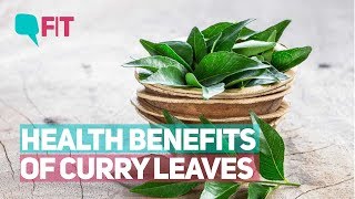 Curry Leaves for Weight Loss: Top 10 Health Benefits of Kadi Patta | Quint Fit