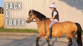 SPEEDY EQUESTRIAN ADVENTURE: Natalia \u0026 Pony Louis Master the Course