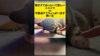 月曜の朝は…眠気MAX子猫vs飼い主 #shorts #funny #cat #猫