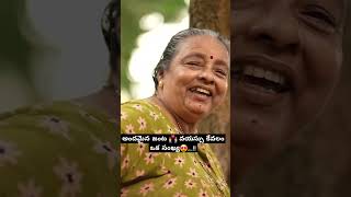 అందమైన జంట 👩‍❤️‍👨 వయస్సు కేవలం ఒక సంఖ్య 🔥#oldcouple #shortvideo #love #song #telugu #viralvideo