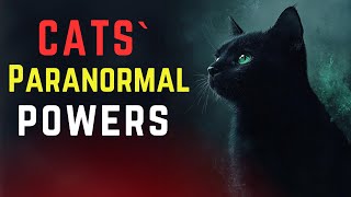 CATS' PARANORMAL POWERS: MYSTERIES of CATS IN ISLAM