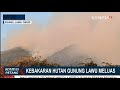 Kebakaran Hutan Gunung Lawu Kian Meluas