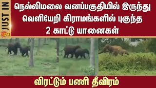 2 wild elephants escape | Nellimalai forest | Enter villages | Mettupalayam | Sun News