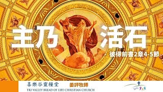 喜乐谷灵粮堂（TVBOLCC）2024/4/14：主乃活石  经文：彼得前书2章4-5节  讲员：姜评牧师