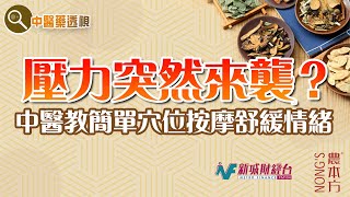 農本方特約：【中醫藥透視】中醫治療情緒病（嘉賓：易健中醫診所 張美兒醫師）