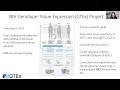 Expression quantitative trait locus (eQTL) mapping: Context, GTEx, and interpretation
