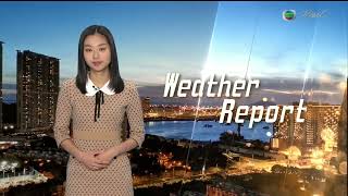 《🇭🇰 香港女主播 🎤📰》〖Pearl Reporter：Mimosa Ngai〗《👗🥰Charming 💘》【明珠台。天氣報告🌞🌪⛈ The Weather Report】2025年2月10日