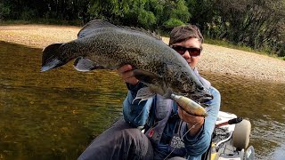 Clearwater Murray Cod Kayaking