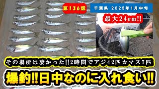 【千葉県 房総】爆釣!!日中なのにアジ入れ食い!!2時間でアジ42匹・最大サイズ24cm!!カマス7匹!!『アジング・カマス釣り』