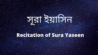 সূরা ইয়াসিন | Bangla Quran Tilwat | Surah Yeasin
