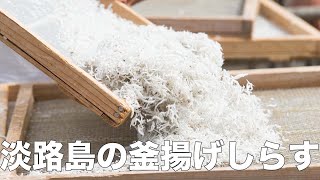 【旬の美味しさにこだわる旬すぐ（国産100％）】（兵庫県淡路市）フワフワ食感の釜揚げしらす