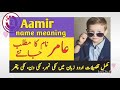 amir name meaning in urdu amir naam ka matlab عامر نام کے معنی