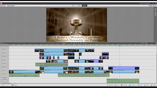 #1 Video Editing - Adobe Premiere Elements 12.1