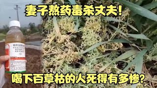 妻子熬药毒杀丈夫，又是“它”的锅！喝下百草枯的人死得有多惨？