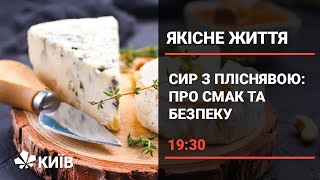 Сир з пліснявою: користь і шкода для організму