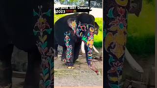 ಮತ್ತೆ ಹುಟ್ಟಿ ಬಾ ಅರ್ಜುನ😭We Miss You💐#mysore #dasara #elephant ##death #viralvideo #shorts