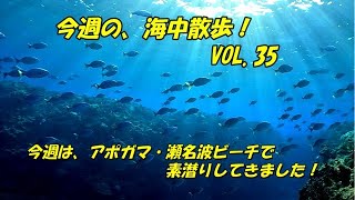 今週の海中散歩！（スキンダイビング）VOL.35　アポガマ・瀬名波ビーチ