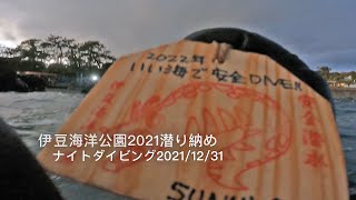 【伊豆ダイビング】伊豆海洋公園 大晦日 2021潜り納めナイトダイビング