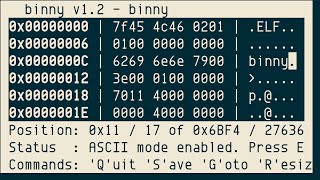 binny, ncurses-based Hex editor