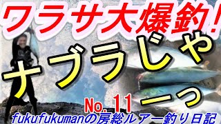 【大爆釣】『房総　ワラサ大爆釣！』回想編⑪～fukufukuman の房総ルアー釣り日記　2016年6月16日のblogより